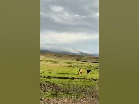 Павлодар Баян ауыл #керемет табиғат - YouTube