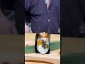 卵黄、明太子、高菜どのおむすびが良い？🍙【新商品誕生⁈】