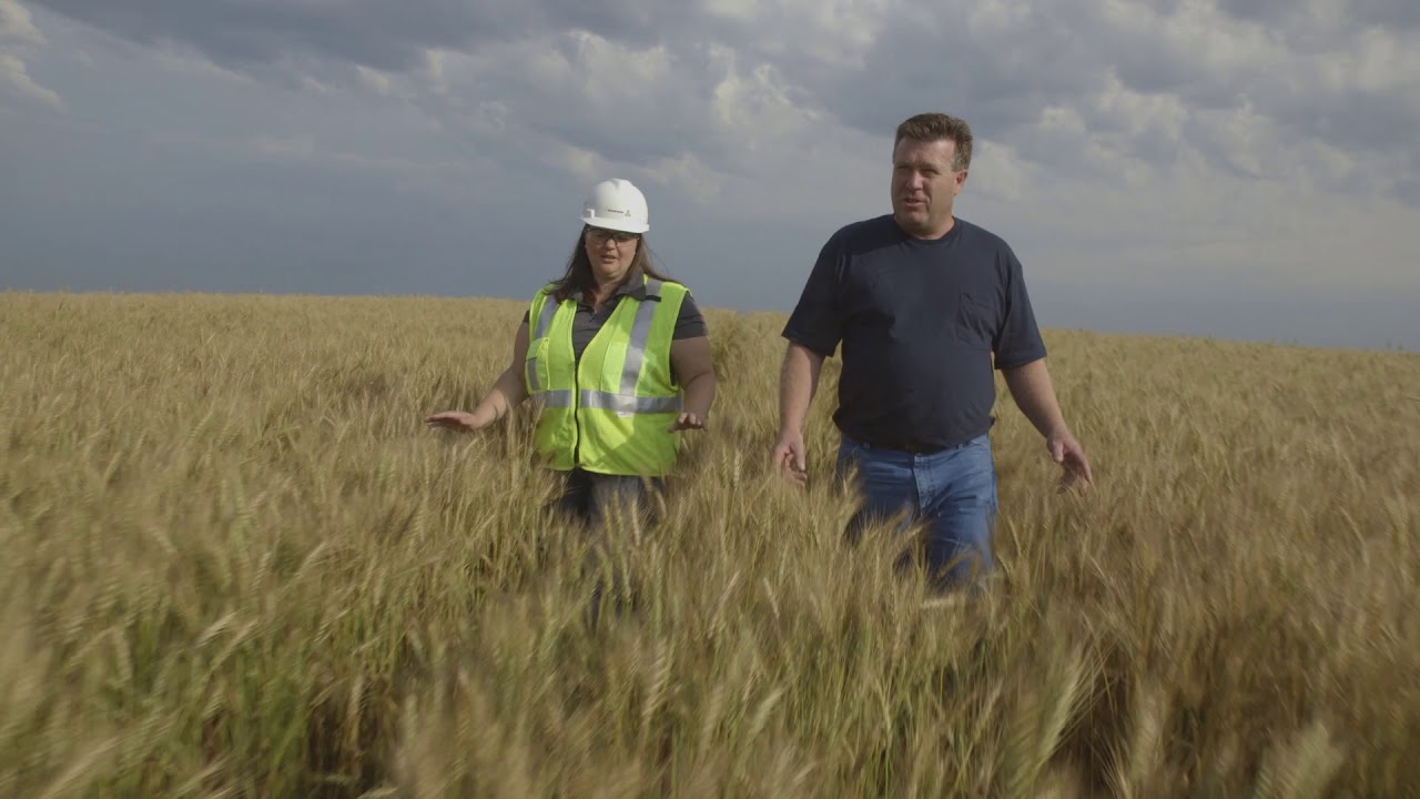 North Dakota Petroleum Council: Cherrey Creative