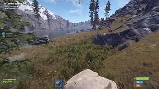 Playing RUST