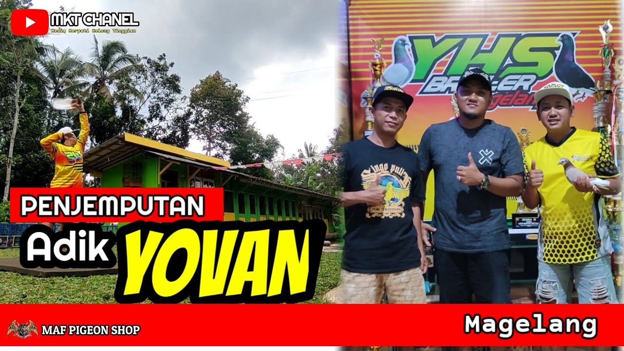 🔴BELANJA TRAH JUARA LAGI‼️TEAM DOMINIC TEMANGGUNG SAMBANGI TEAM YHS BROILER MAGELANG