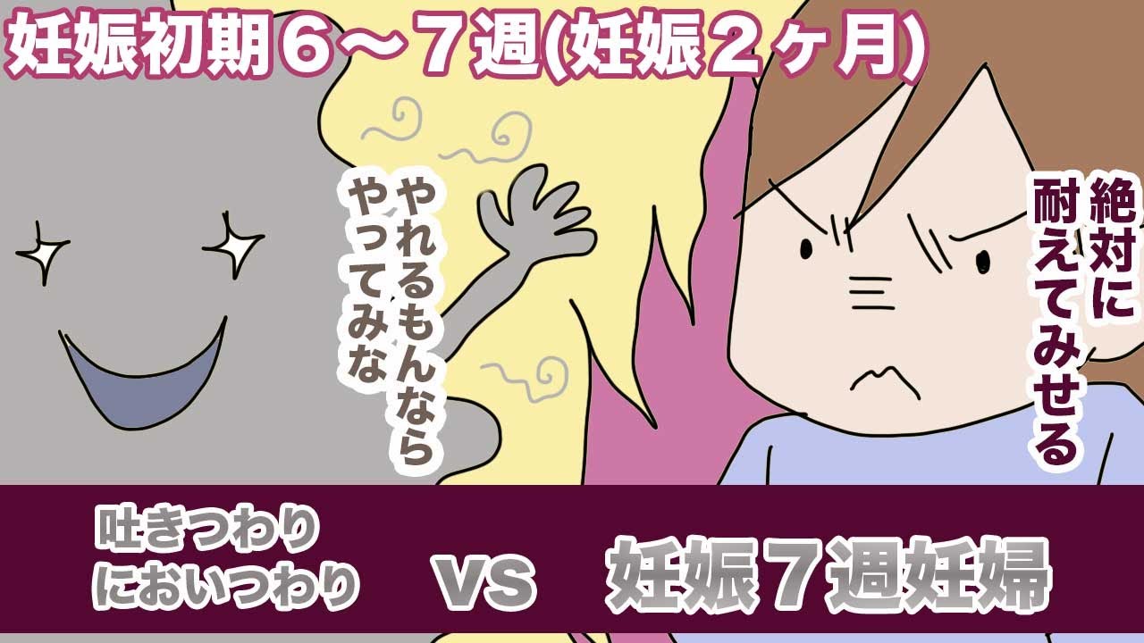 妊娠初期 待望の心拍確認 私の吐きつわりはこうして始まった Youtube