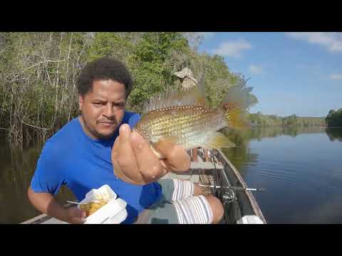 TRIP to KWAKWANI and FISHING in the BERBICE RIVER.