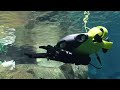 Vision Lock AI-teknoligi på Fifish ROV