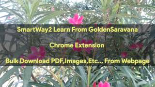 Bulk Download PDF files,Images from Web Pages now easy
