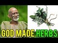 Dr Sebi Reveals Hybrid And God Made Herbs