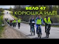 ВЕЛО 47 - Корюшка идёт 2022 (велопробег из Волхова в Новую Ладогу)