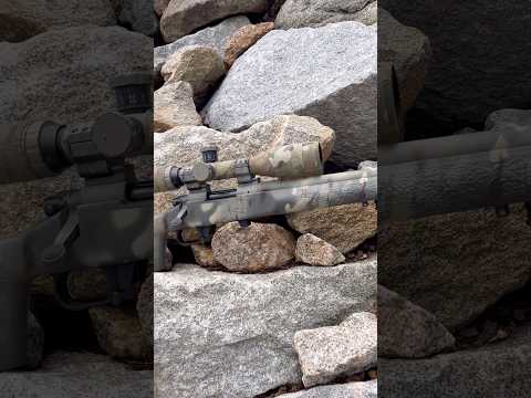 Gun Camo - Rem700