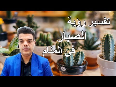 تفسير رؤية الصبار فى المنام