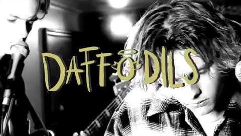 daffodils - two angels