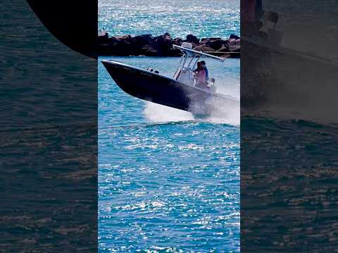 How did this small Yellowfin do?