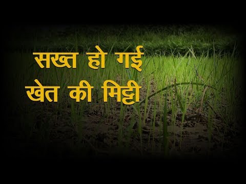 वीडियो: क्या पंक्तियों में मिट्टी की खेती कर रहे हैं?