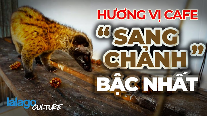 Cà phê chồn giá bao nhiêu tiền