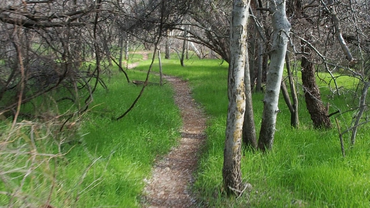 Sycamore Canyon, Clarkdale, AZ Feb, 2017 YouTube