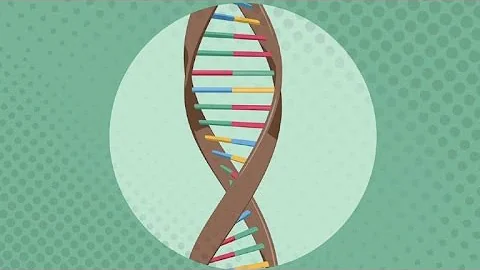 Où se trouve l'ADN dans le corps ?