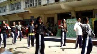Sophomores dancing..VMSSHS DANCERS