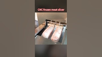 High Efficiency Two Rolls Frozen meat slicer