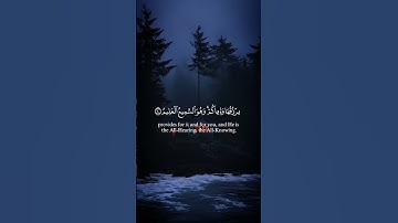 أكتب شيء تؤجر عليه 😴💛#عبدالرحمن_مسعد #قرآن #Quran #تيك_توك #ترند #تلاوة_هادئة #اكسبلور #هدوء #calm