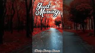 Good Morning Beautiful Steve Holy