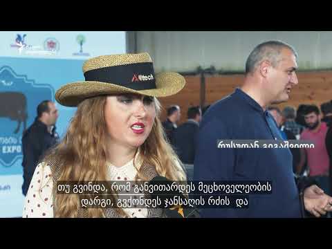 \"მესაქონლეობის ექსპო\" თბილისში