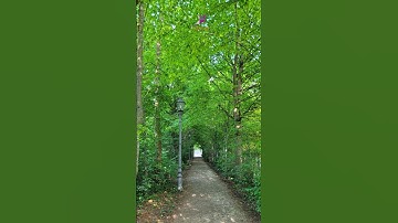 Why Failure Leads to Success 🎯 | Michael Jordan’s Story | Motivation |