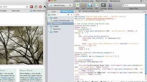 ThesisReady Advanced Uses For Custom Fields Tutorial Pt. 2