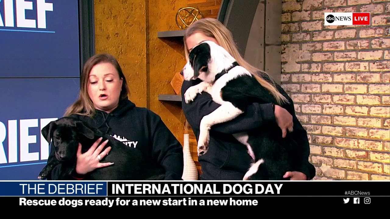 The Debrief: Trump at G7, Hong Kong clashes, Brazil rain forest wildfires