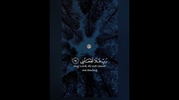 سورة المؤمنون قُلْ رَبِّ إِمَّا تُرِيَنِّي مَا يُوعَدُونَ (93) رَبِّ فَلَا تَجْعَلْنِي فِي الْقَوْمِ