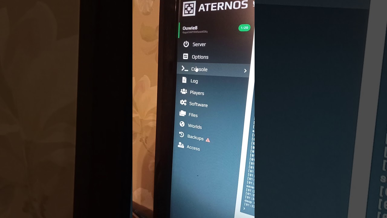 How To Turn On Cheats On Aternos Youtube