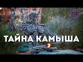 Тайна о камышах с Виталием Сундаковым (эфир т/к Тайна ТВ)
