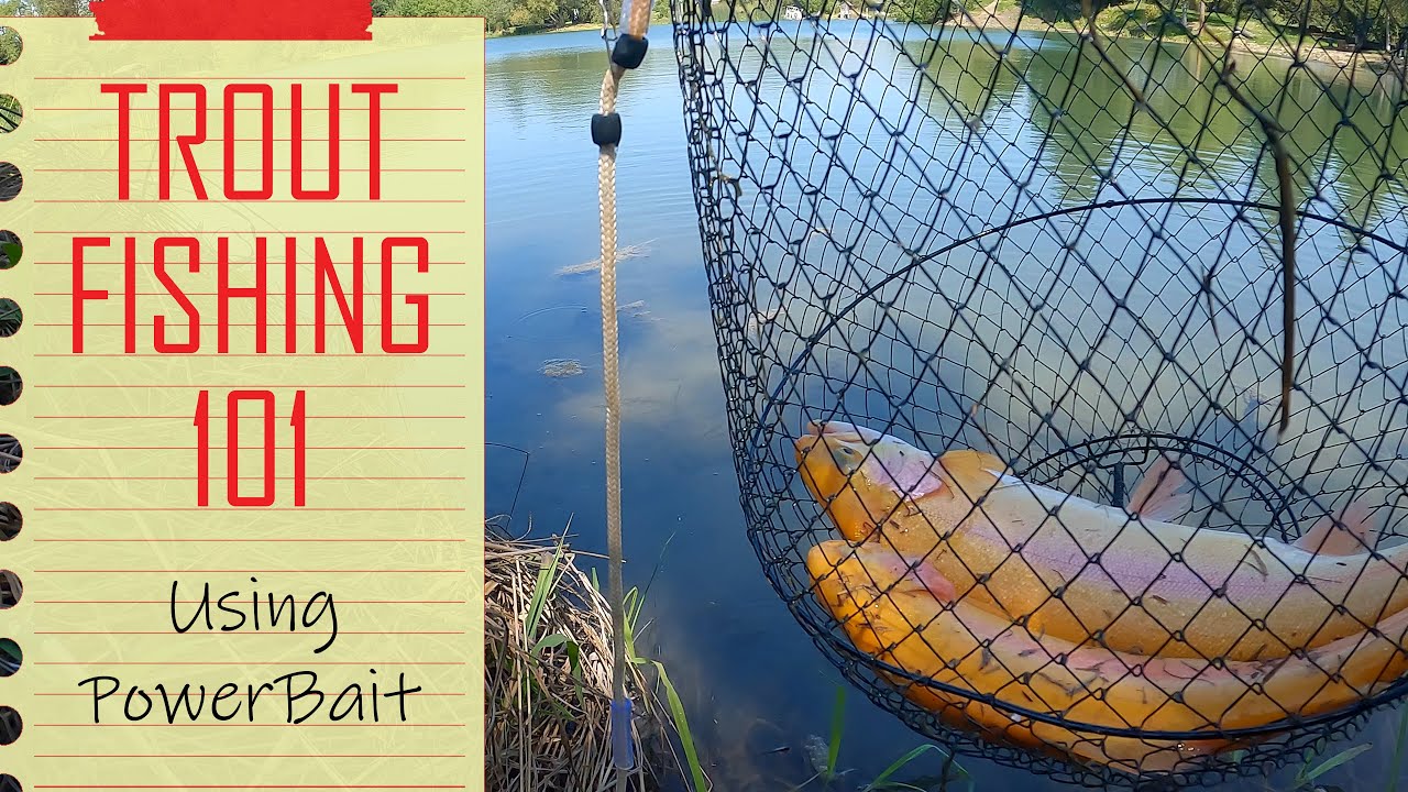 Trout Fishing for Beginners EVERYTHING You Need To Know On How To
