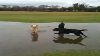 test shadow 2.wmv