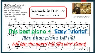 Serenade In D Minor How To Play Piano Serenade Hướng Dẫn Chi Tiết P1 Free Sheet