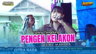 Download Lagu PENGEN KELAKON // CITRA NADA LIVE DESA RUNGKANG (BLOK LAPANGAN) // KEC.LOSARI - BREBES MP3