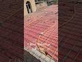 chhat main pipe wiring|roof wiring kaise kare|#kajal electrician