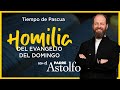 Homilía del II Domingo de Pascua   Ciclo B