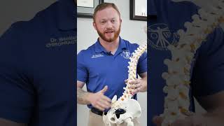 Why Your Sciatica Stretches Aren’t Working 😣 | Dr. Bentley Explains REAL Relief at Lowe Chiropractic