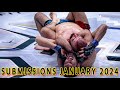 Mma submissions of january 2024