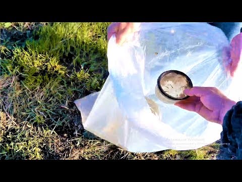 ЗАРЫБЛЯЕМ ВОДОЁМ ЩУКОЙ с НОЛЯ