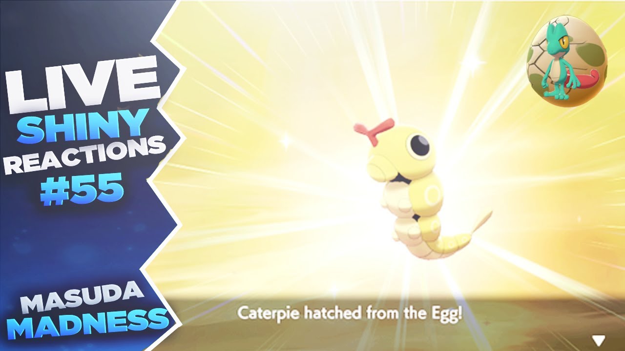 Shiny Treecko + Shiny Caterpie Under Odds Masuda Hunts in Pokemon Sword and Shield 