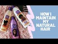MY NATURAL HAIR CARE ROUTINE|| EXTREMELY AFFORDABLE|| SOUTH AFRICAN YOUTUBER
