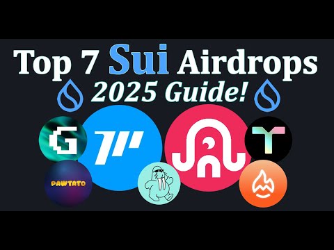 Top 7 Sui