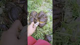 Binodon Tiktok Bangla Comedi Tiktok