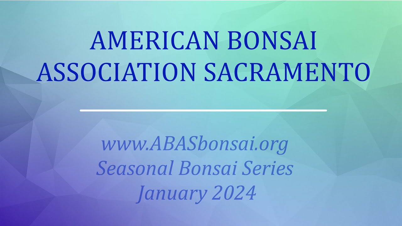 ABAS Seasonal Care Session 8 - January 2024  Repotting and grafting