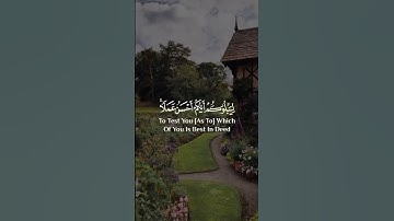 تباركَ الذي بيدهِ الملكِ | شريف مصطفى | سورة الملك