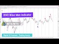 ⚡️BW2 Wise Man Indicator for MetaTrader 5/4 - Free Download [TFlab]