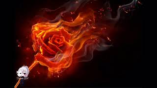 Skillet - Fire and fury - Lyrics/traduction