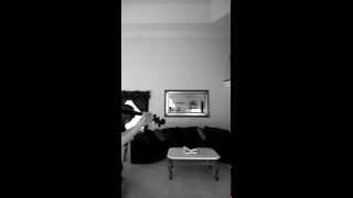 Crystallize by Lindsey Stirling (Violin Only)