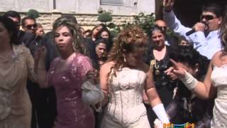 Nicolae Guta & Dorin Covaci Jocuri Live Nunta La Ionelas Timisoara