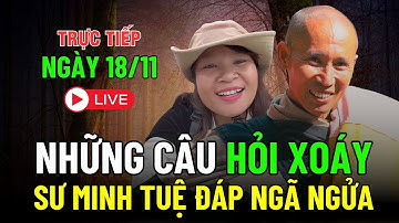 🔴 Trực tiếp Sư Minh Tuệ Trả Lời Phật Pháp Quá Sâu Sắc Khiến Ai Xem Cũng Ngỡ Ngàng #thichminhtue